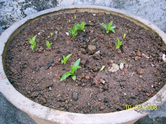 ��Ƭ 914(576).jpg