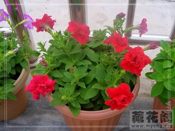 ����һ��