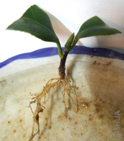 ��Ϳ����㣡