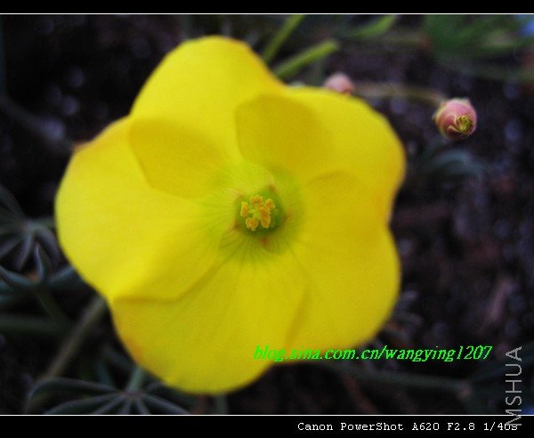 �е����ˣ��������ٿ���ȥ������