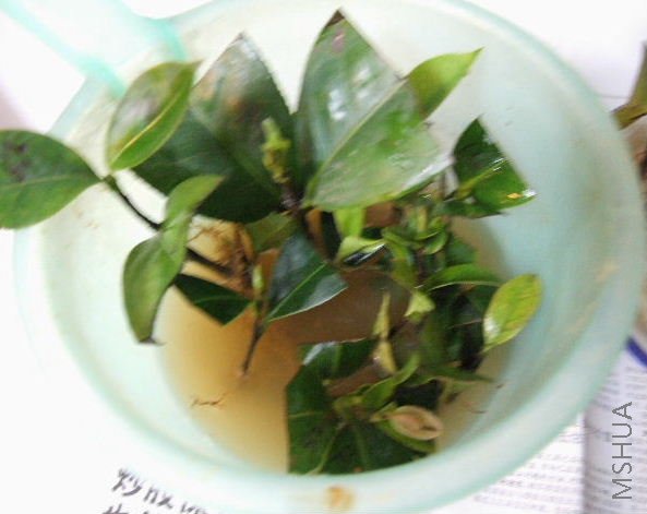 �²������ж����磿������������