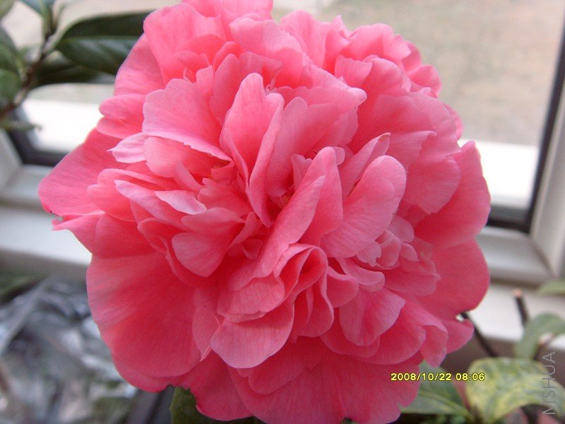 S73R0905.JPG