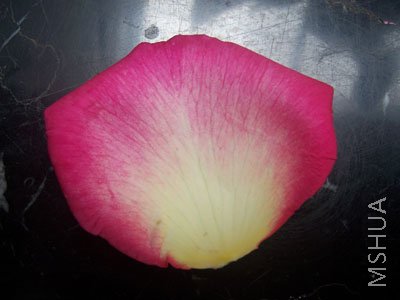100_4370.JPG