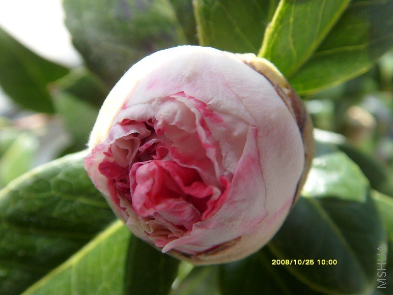 S73R0917.JPG