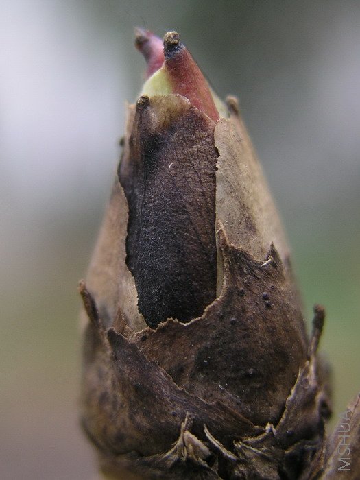 ����ѿ���Ǻܺ�