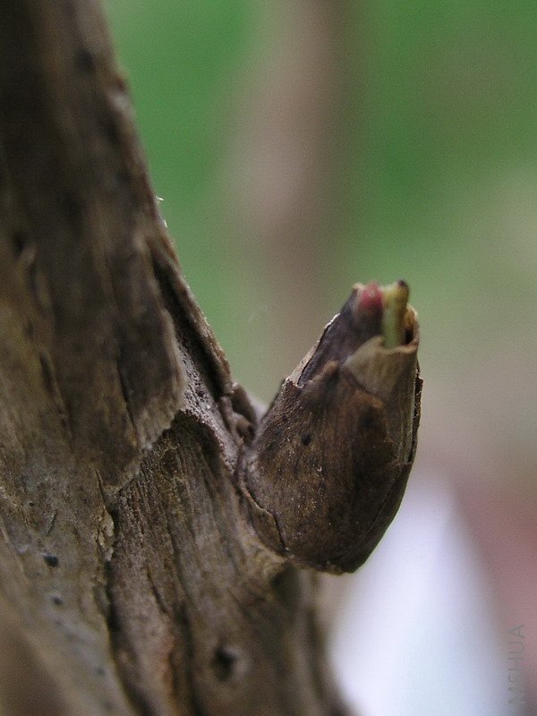 ����ѿ���Ǻܺ�