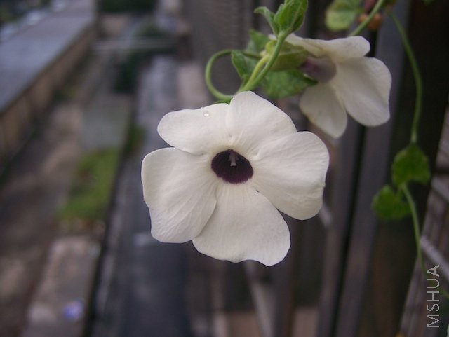 100_3996.jpg