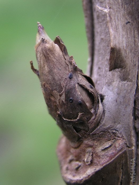 ����ѿ���Ǻܺ�