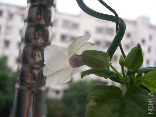 100_3994.jpg