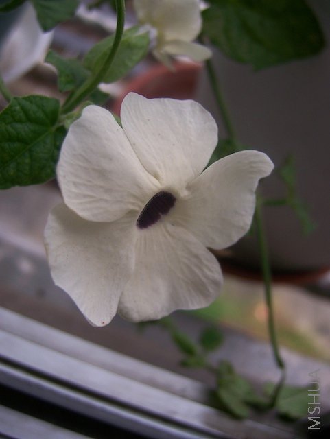 100_3997.jpg