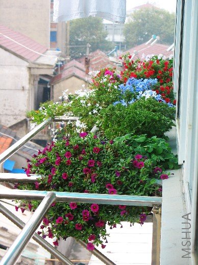 BigBull_nEO_IMG_��Ƭ 009.jpg