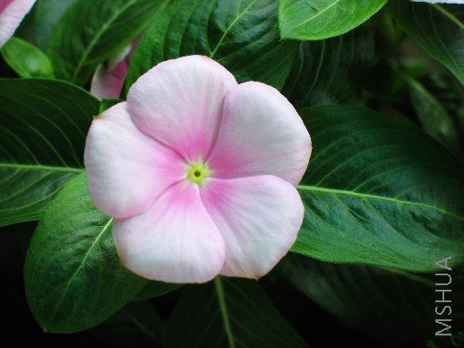 BigBull_nEO_IMG_��Ƭ 004.jpg