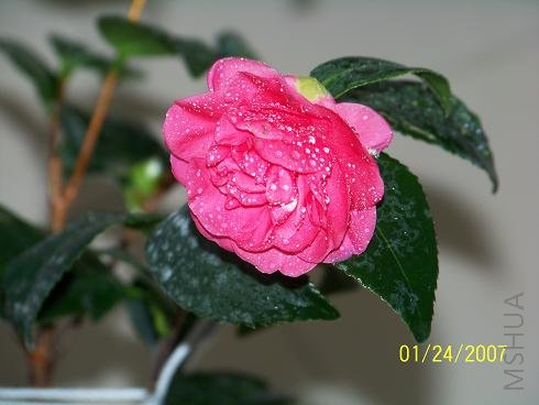 ��Ƭ 129.jpg