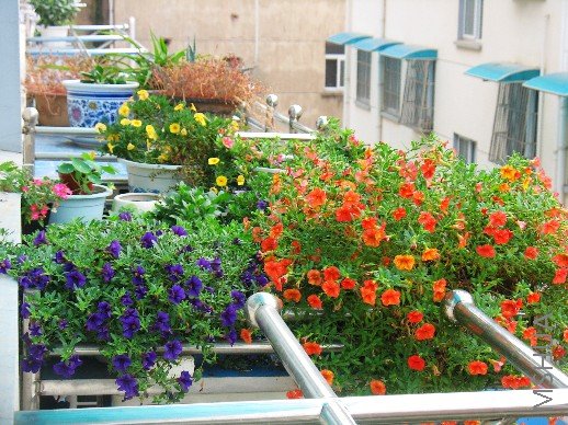 BigBull_nEO_IMG_��Ƭ 010.jpg