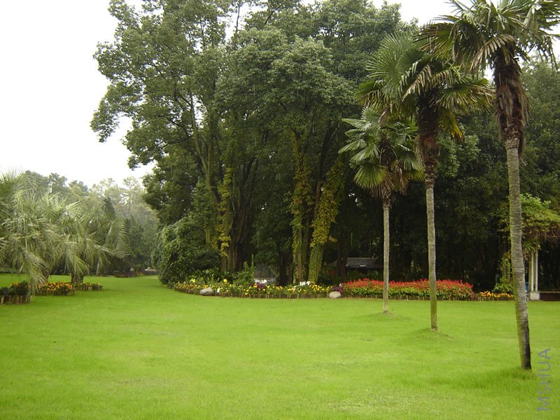 DSC05598-.jpg