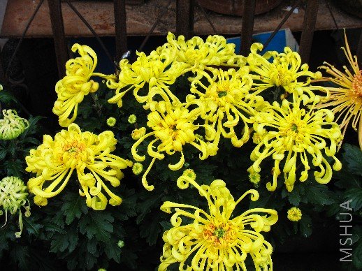 BigBull_nEO_IMG_��Ƭ 074.jpg