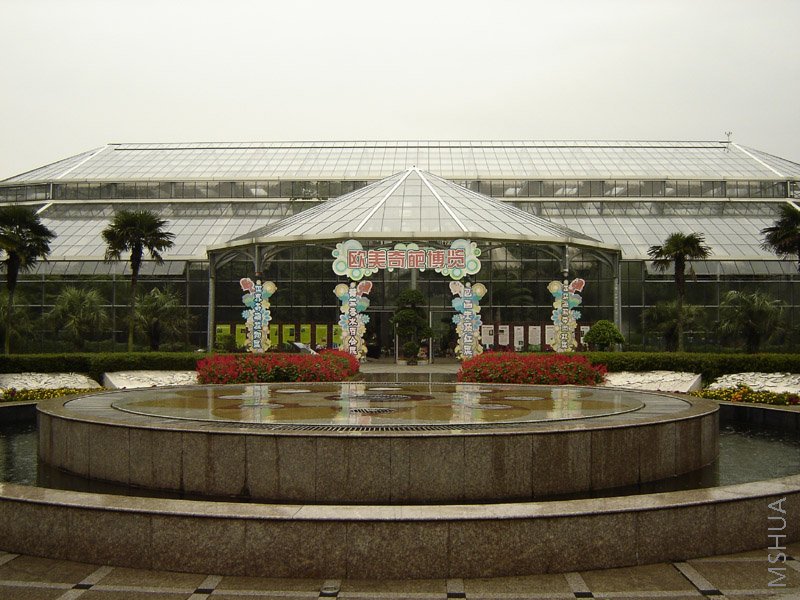 DSC05602.JPG