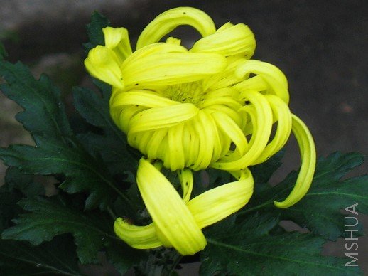 BigBull_nEO_IMG_��Ƭ 080.jpg