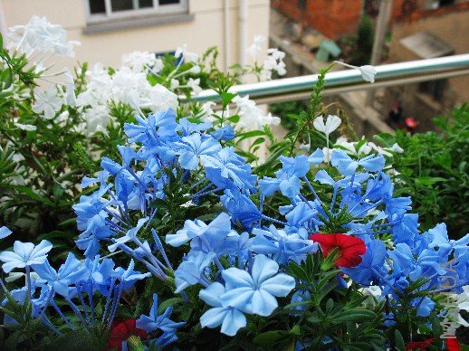 BigBull_nEO_IMG_��Ƭ 007.jpg