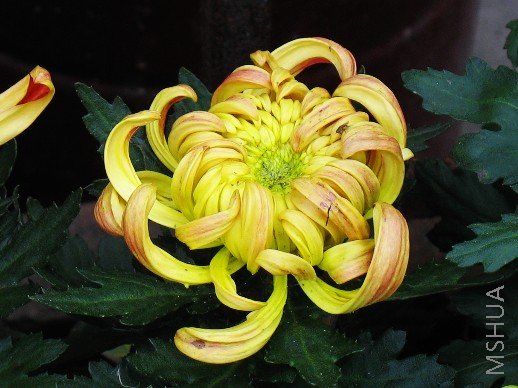 BigBull_nEO_IMG_��Ƭ 079.jpg