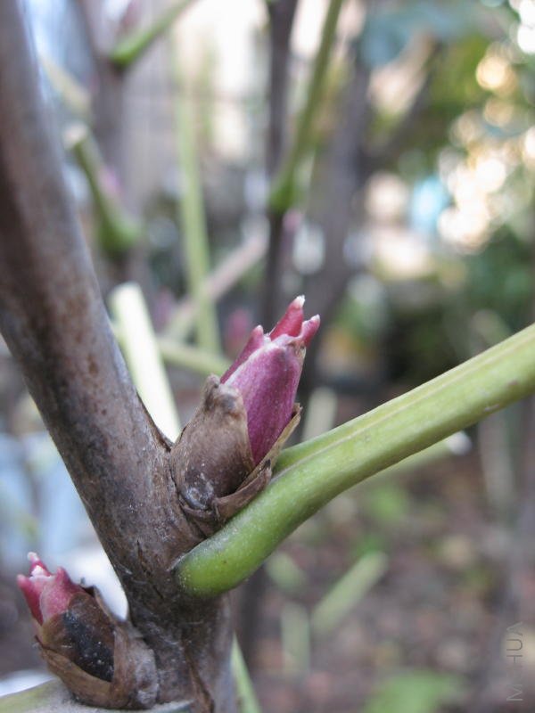 2008_10_26 004_1.jpg