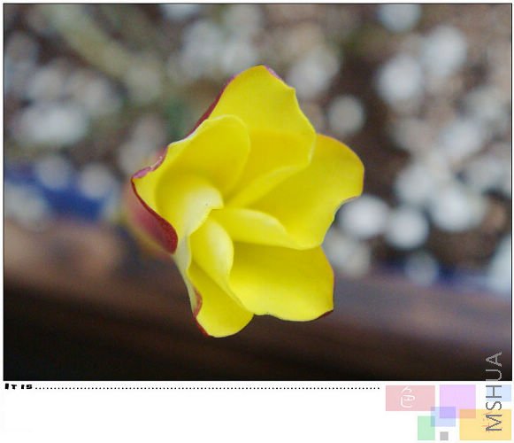 Ҳû�п�����ȫ��������