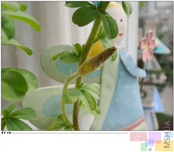 û�п������������쿴��������