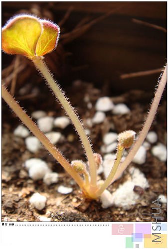 ���Ҳ�ǣ������ͷ����ǩ