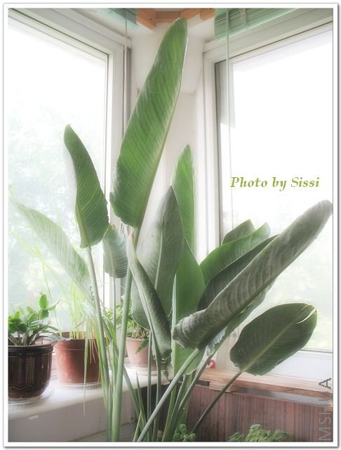 ������������Ҽ�Ӧ����ʮ���˰�~