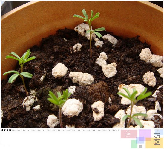 ���������ˣ��Ժ�һ�𲹰�