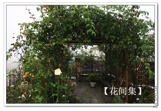 IMG_5510 ����.jpg