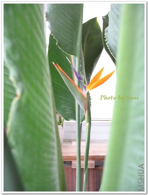 ��Ҫȥ��������ɫ���죬��ɫ�Ĳ�~