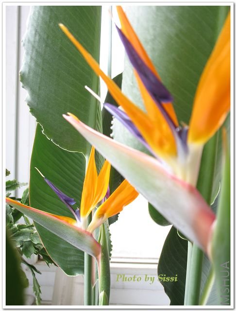 ̫�������Ǻܽ�������������Ҳ�ܽ�~