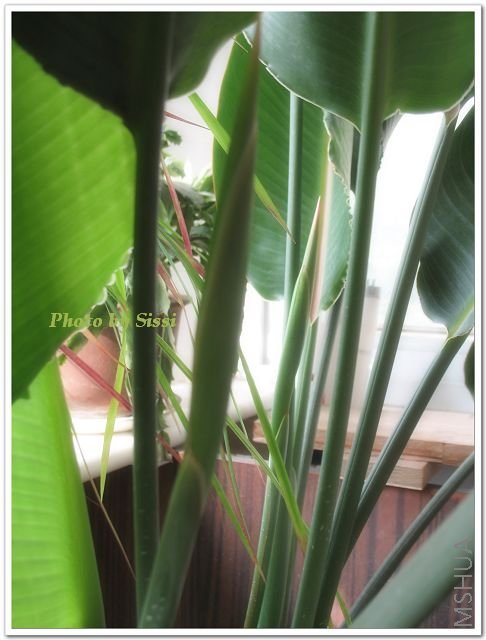 ����һ��Ŭ������쳤��~