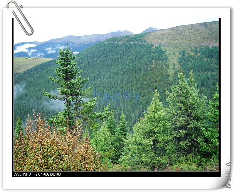 �ɹ�����ɫ��