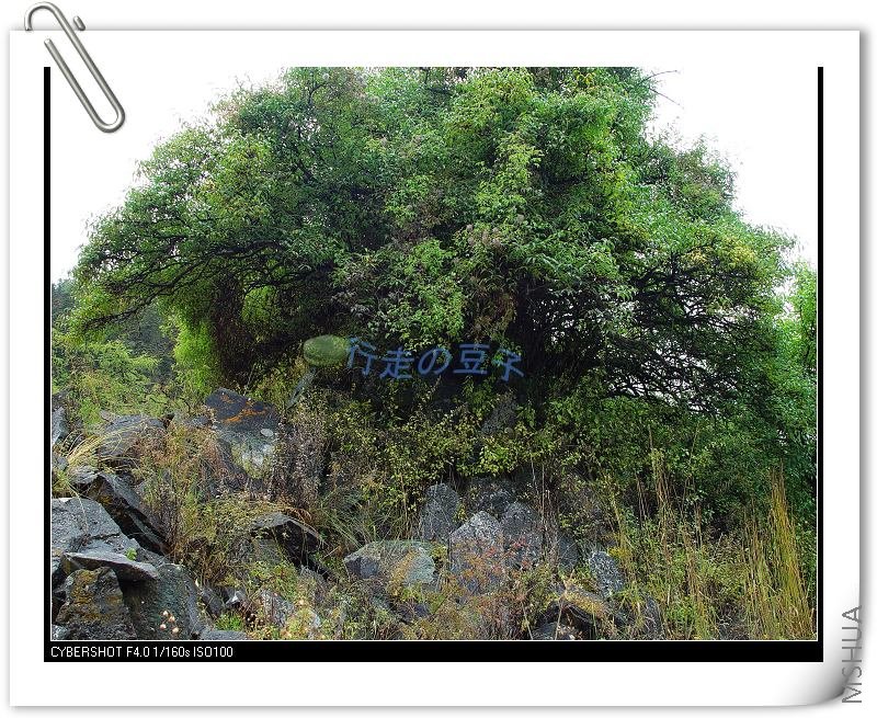 ����ʯ���ϵľ���