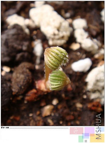 ���˺ܾ��ˣ����������