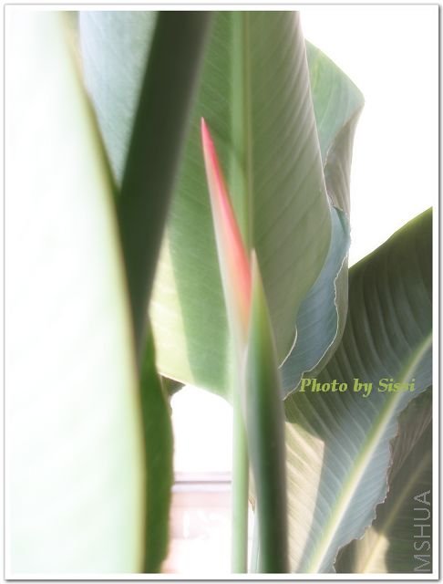 ������ͷ�������˺���~