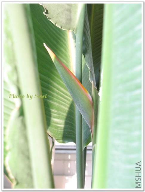 ���������һ������~