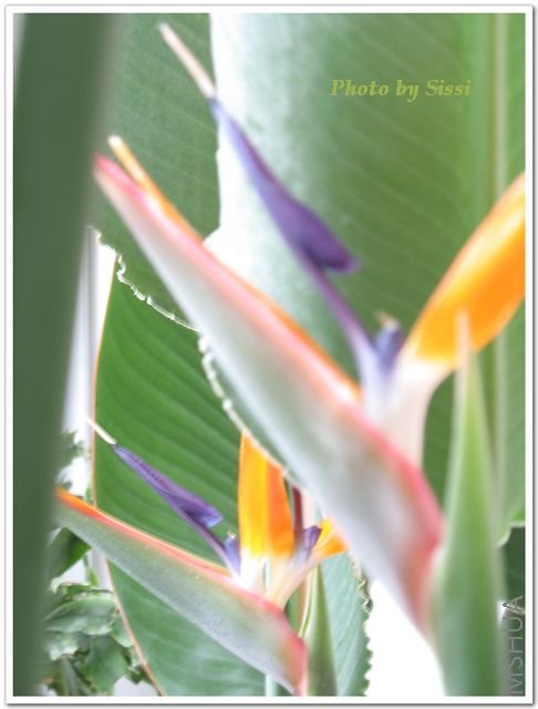 �������������ã�