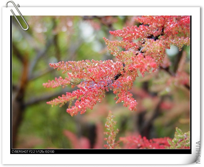 ��Ư�����������ǲ���������һ�֣�