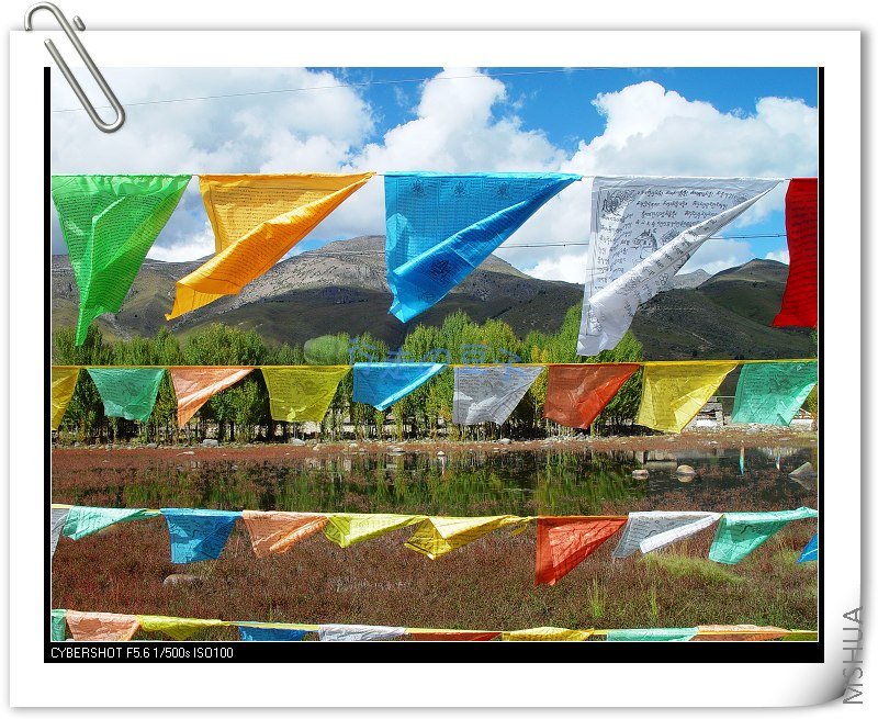 �����ĺ�ݵأ���Χȫ����������ľ�ᦣ���������10Ԫ