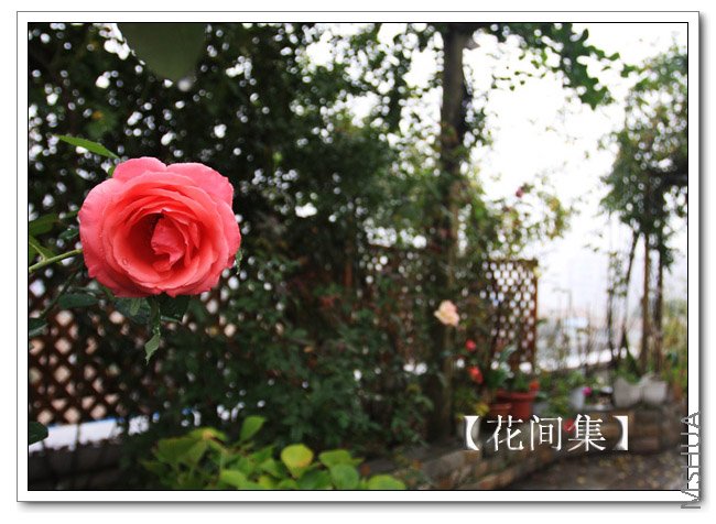 IMG_5513 ����.jpg