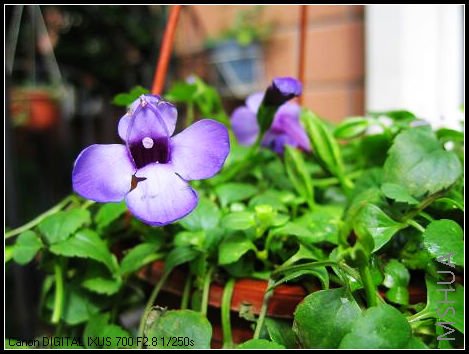 �����������һ���������ȾͿ�������