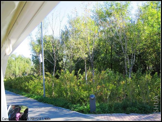 ���۹⳵�غ���һȦ����ɭ��