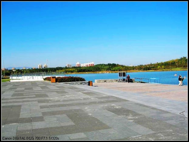 Զ���غ�ɭ��