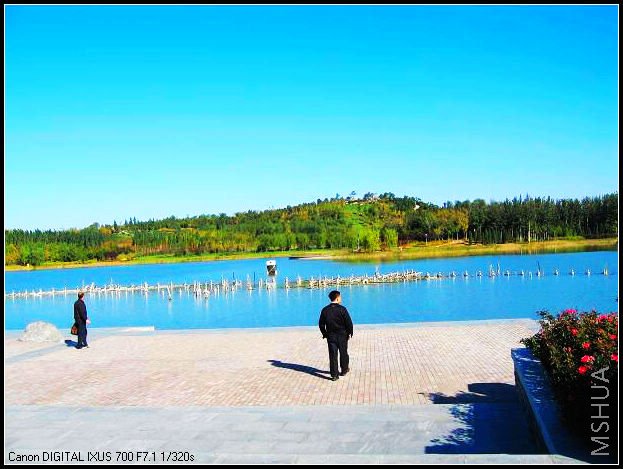 �����ϵ�������Ȫ