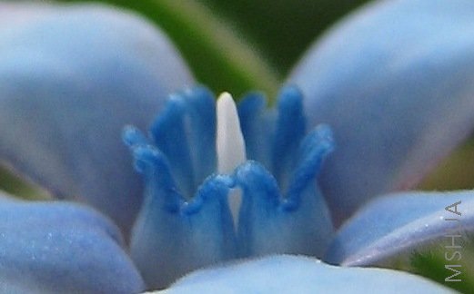 IMG_0264.jpg