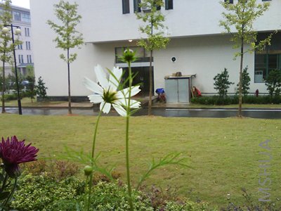 �о�������������