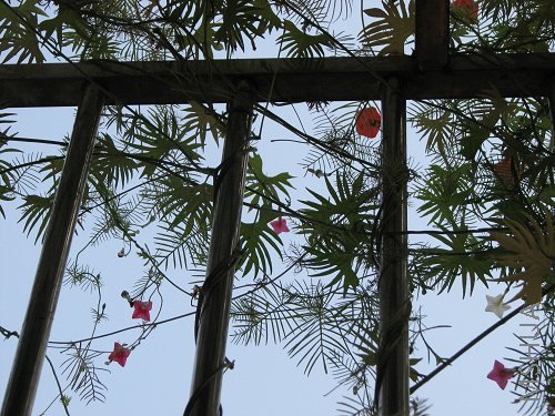 ���� ��̨һ��3.jpg